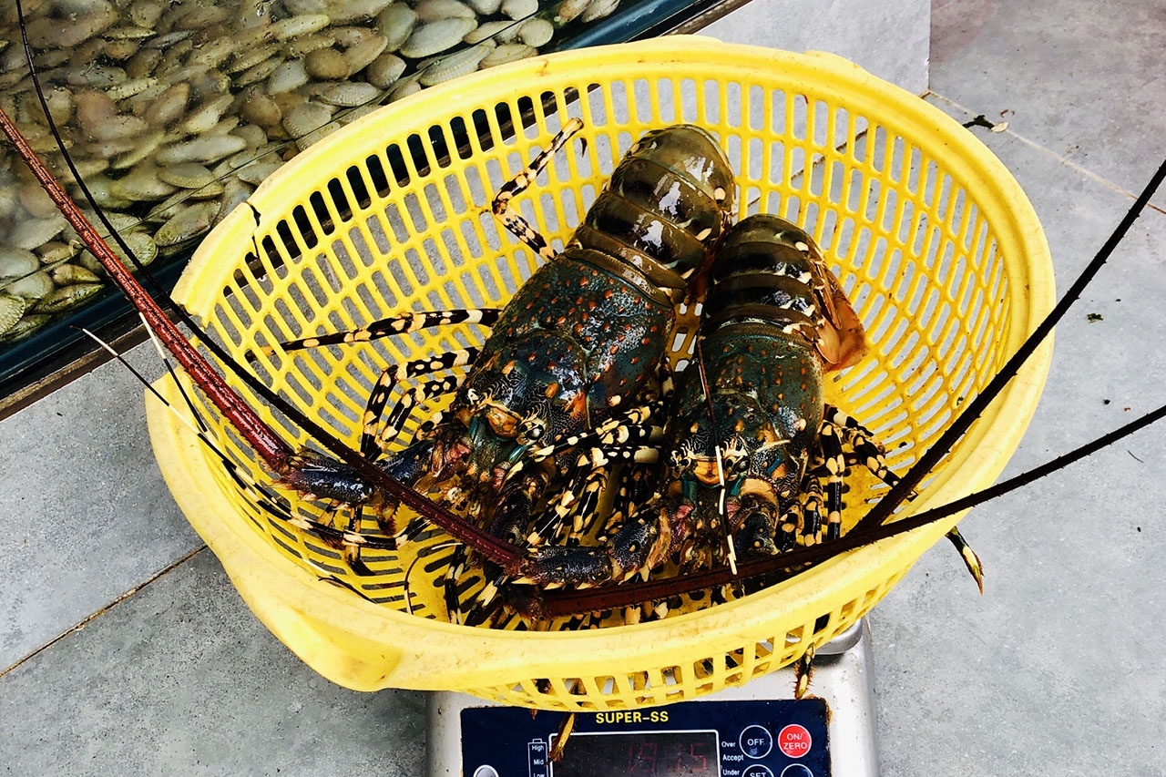 Quán ăn hải sản ngon ở Quy Nhơn - thời gian ăn hải sản tươi ngon
